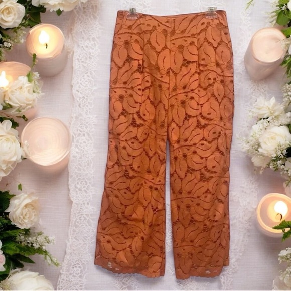 VINTAGE Sexy Anthropologie Dolly Lace Pants Size 2 - Picture 12 of 12